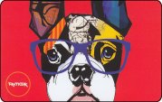 Dog with glasses